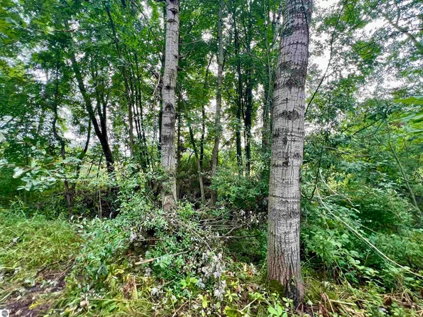 Vl S Camburn St, Stanton, MI 48888