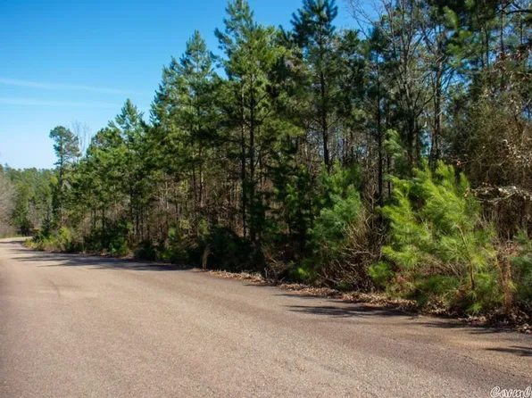 90 Parker Creek Rd, Murfreesboro, AR 71958