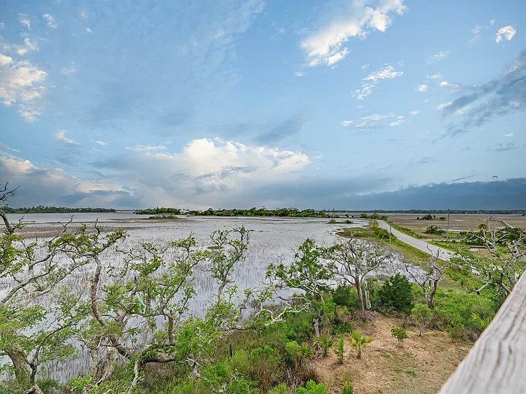 Marsh views