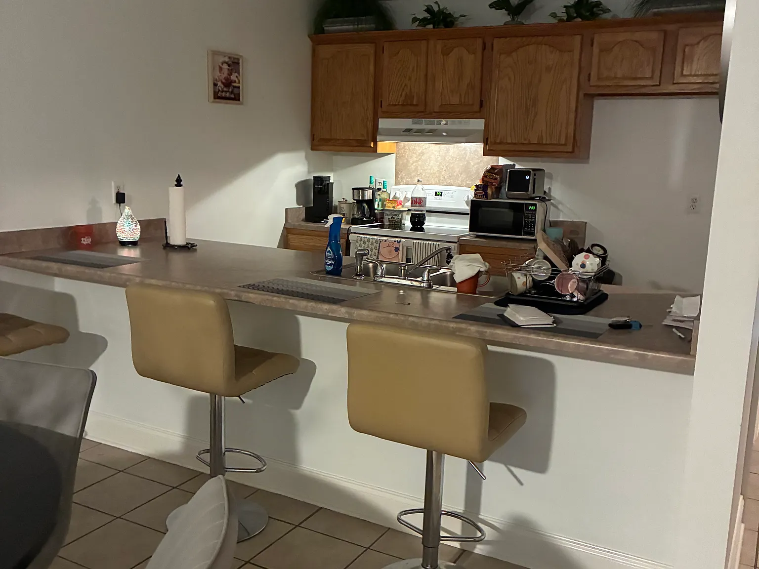 2 bed, 1300 sqft, $1,450 — Photo 2