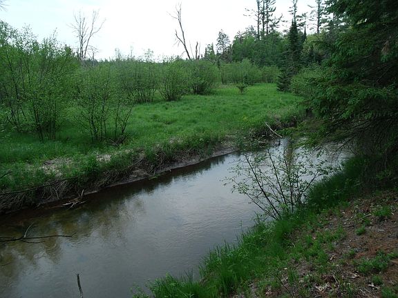 4th image of Par 17 Spikehorn Trl