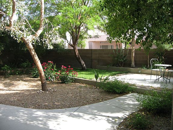 Beautiful back yard