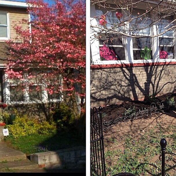 Updated front of home