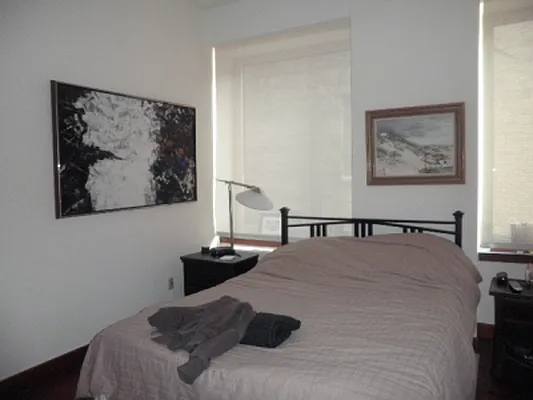 Rented by Citi Habitats | media 17