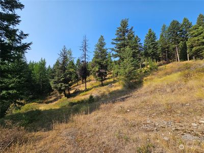 0 Matts Road, Oroville, WA, 98844