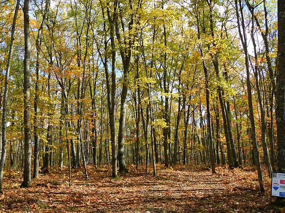 5th image of xxxx Sajdak Rd