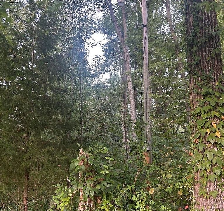 2nd image of 3411 Crone Road