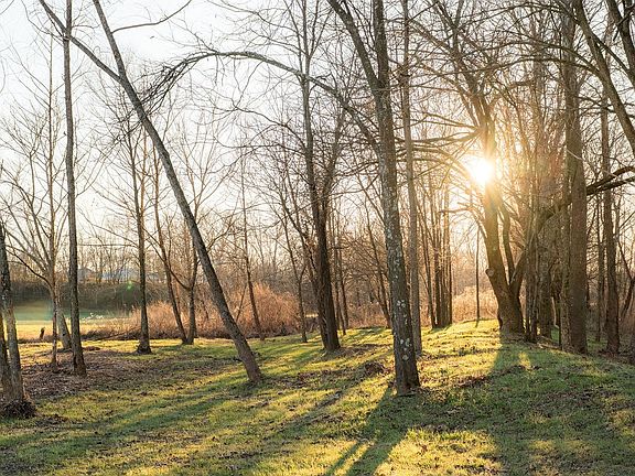 12th image of this home