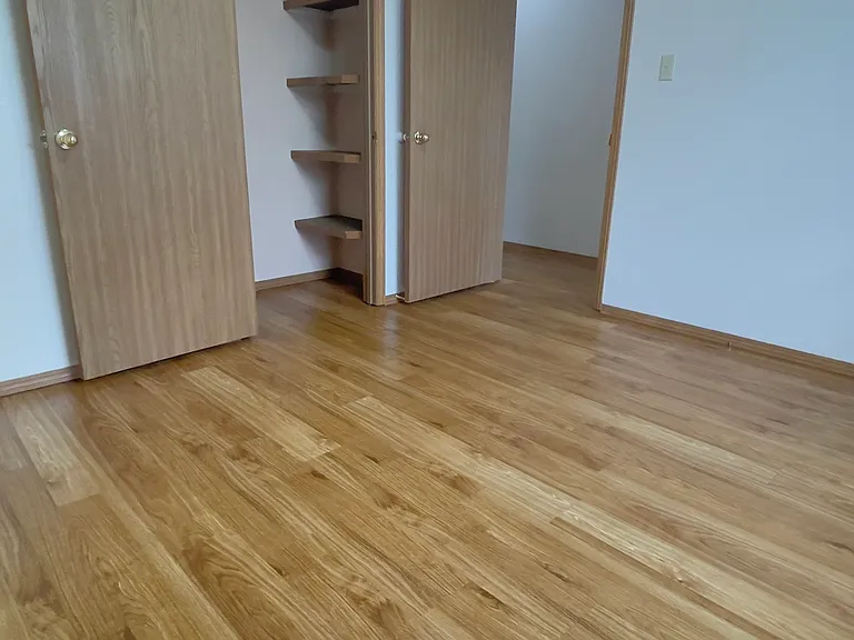 View from the back of the 2nd Bedroom, looking at the hallway and the Large Walk-in Closet that extends back and to the left!