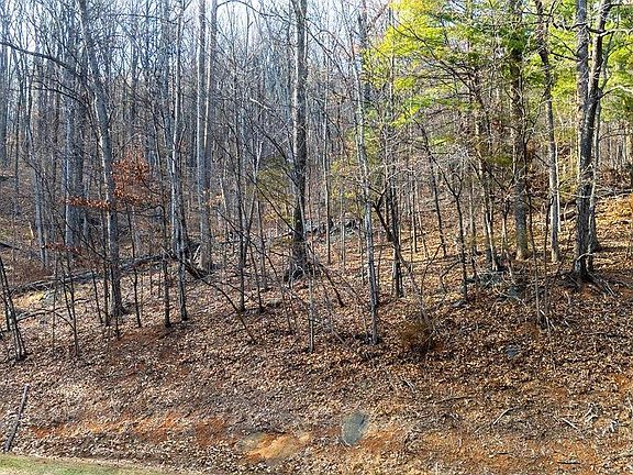 4th image of 28 Stone Chimneys Rd