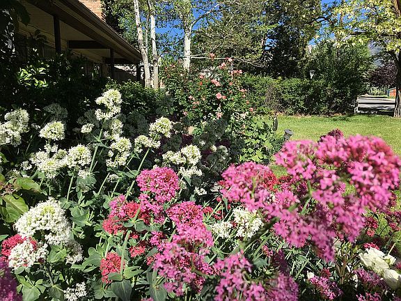 Front of house in summer
