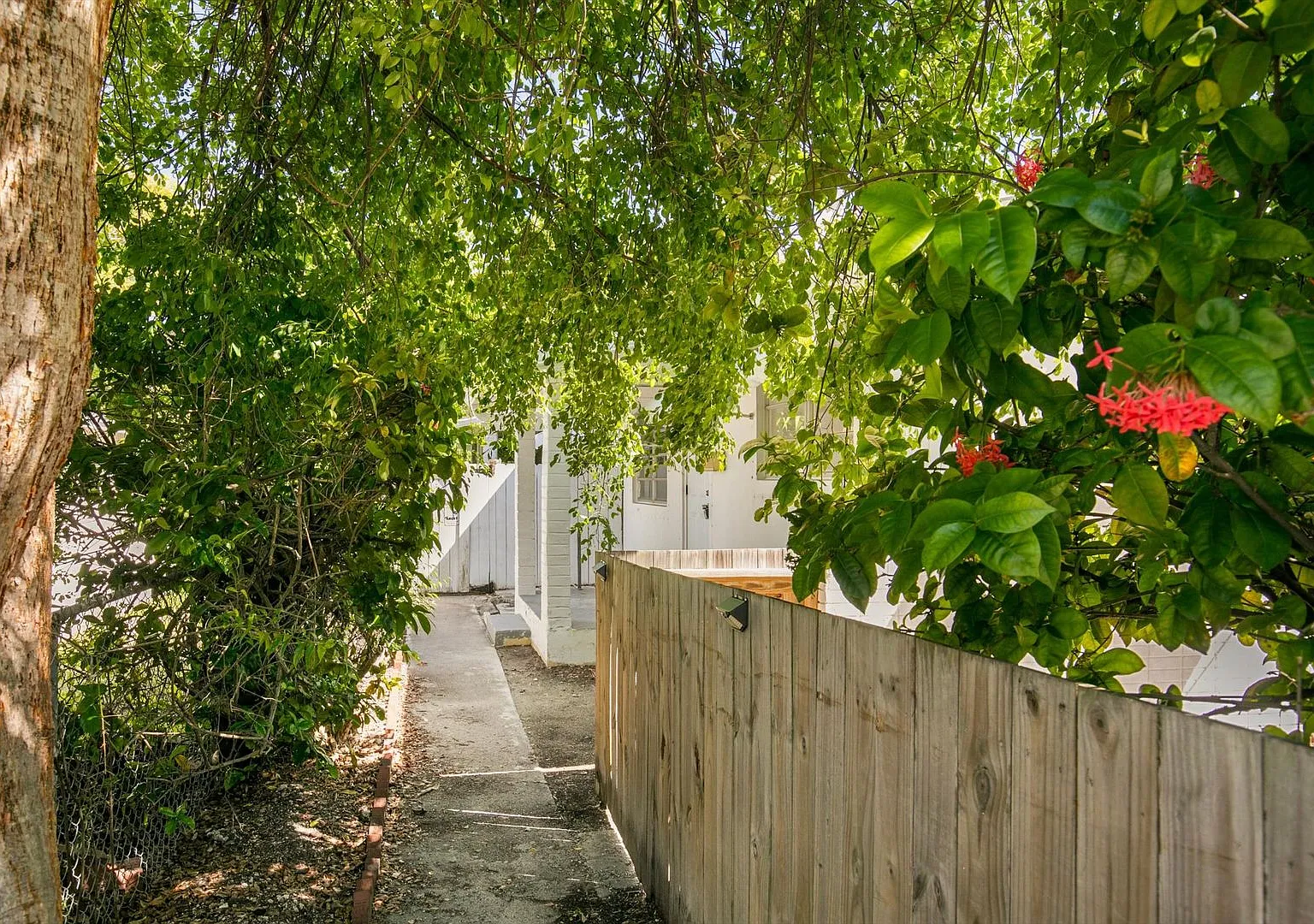 Charming 2BR/1BA with Fenced Yard & Outdoor Shower Available Now — Photo 3