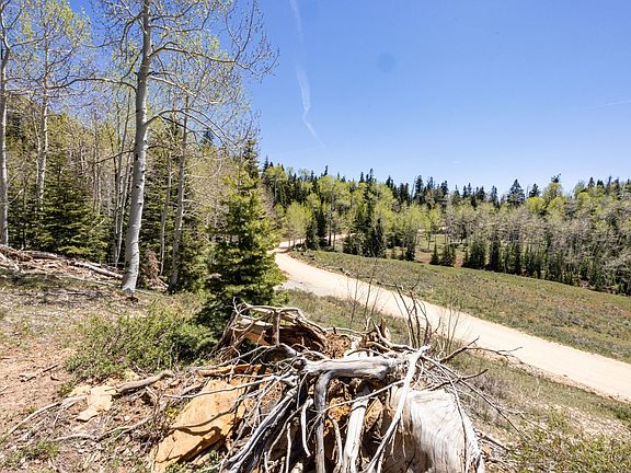 5th image of 6020 W North Fork Rd