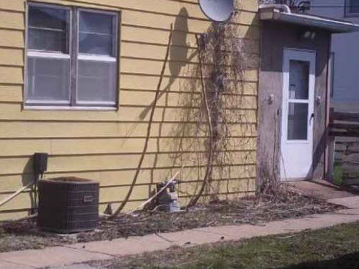 4th image of 206 W Franklin St