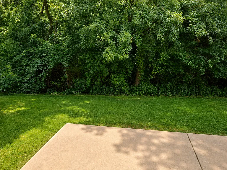 708 English Ivy — Photo 17