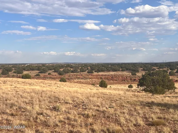 N9237 Miller Ln, Concho, AZ 85924