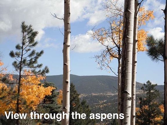 5th image of Taos Dr
