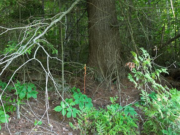 3rd image of Lot 25 Lee Road