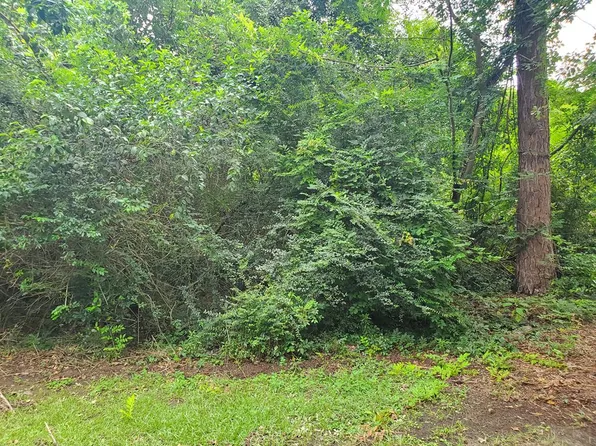 0 Stevens St N, Ellaville, GA 31806