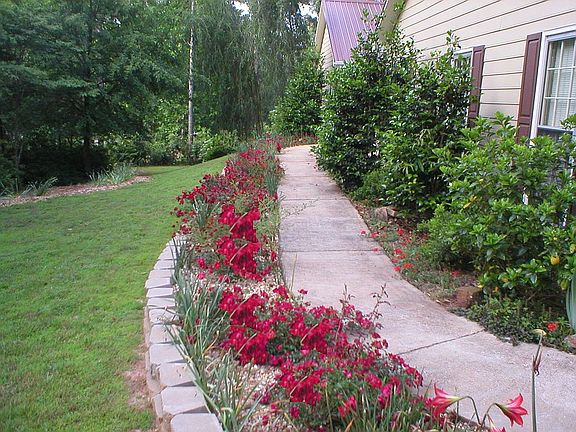 Front walkway spring time