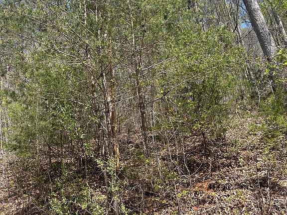 2nd image of LOT 3 Jones Ridge Rd