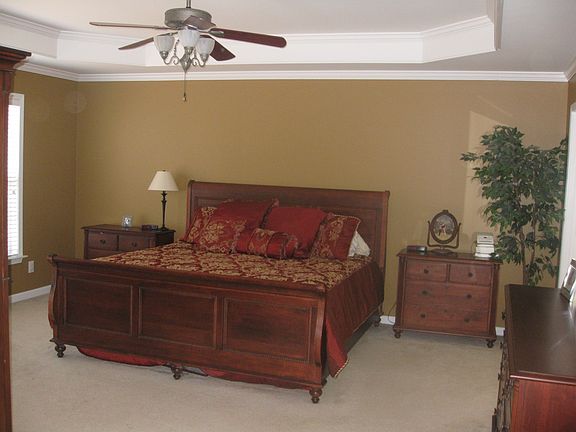 Master bedroom with trey ceiling
