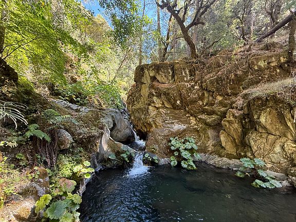 4th image of Blue Canyon Rd