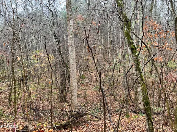 LOT 7 Butler Rd, Decatur, TN 37322