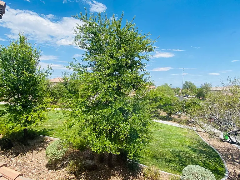 11212 Salentino Ave — Photo 14