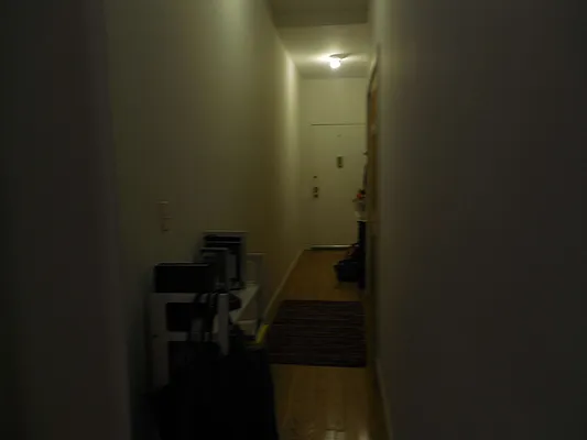 Rented by High Line NYC Realty Group | media 1