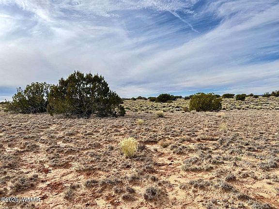 5th image of 78 Sierra Highland Rd
