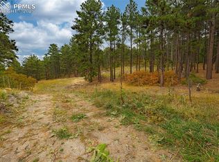 14420 S Perry Park Rd, Larkspur, CO 80118