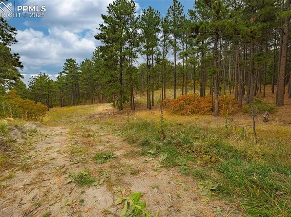 14420 S Perry Park Rd, Larkspur, CO 80118