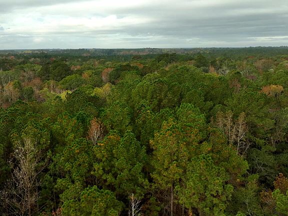 4th image of 0 Twin Forks Road Martin Rd Tract 3