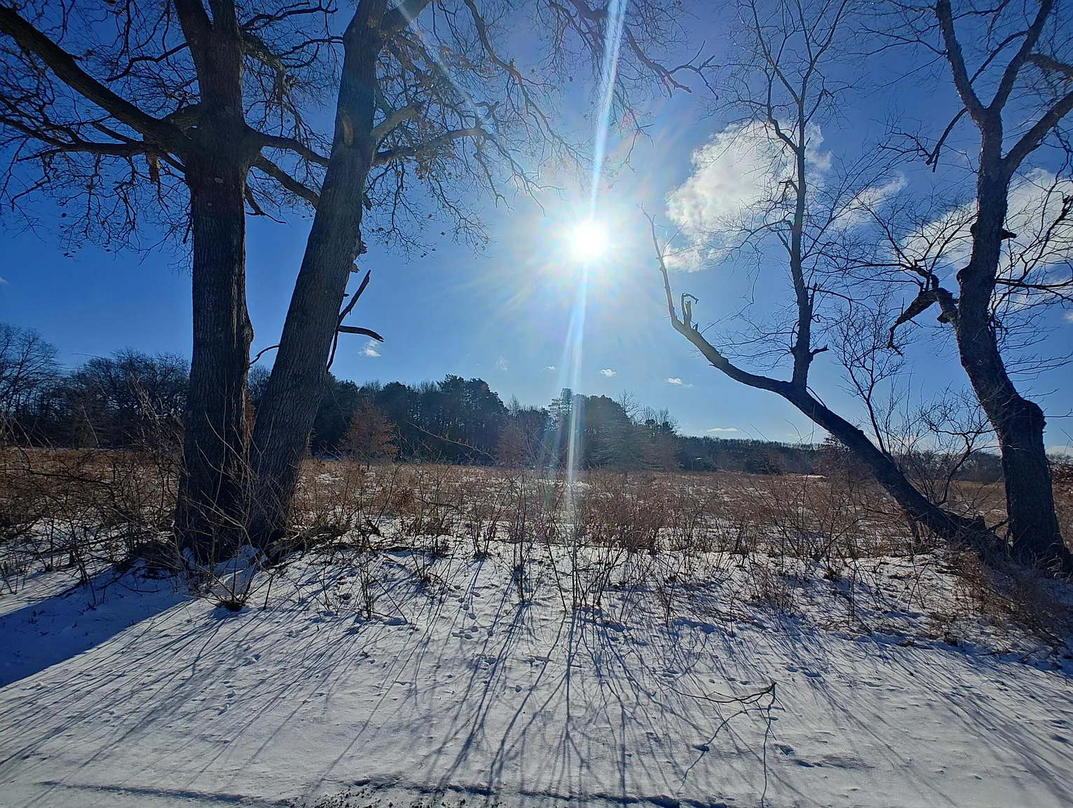 LOT 13 E 125 S photo 1
