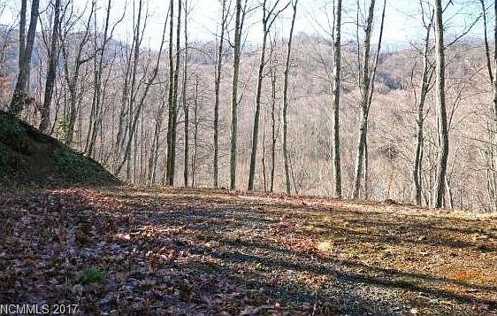 1st image of Lot A25 Tawodi Trail Trl #A25