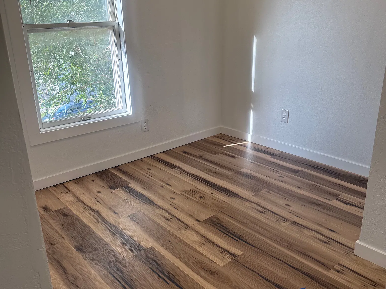 2 bed, 550 sqft, $900 — Photo 3