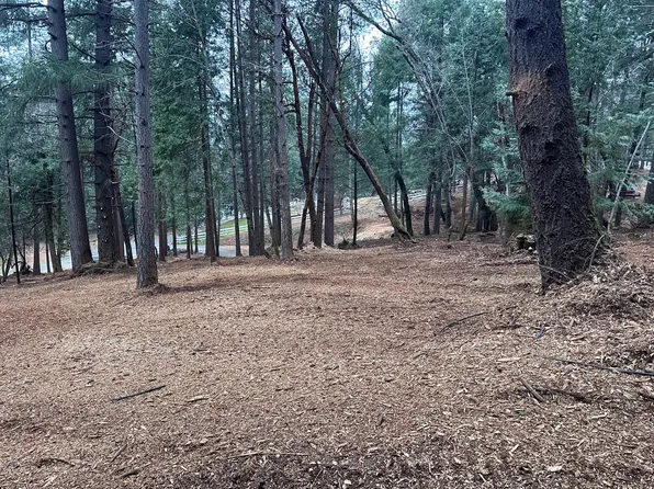 Oregon Trail Rd, Georgetown, CA 95634