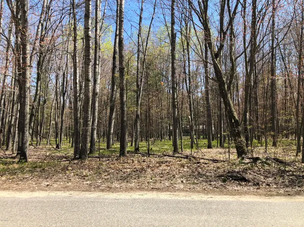 9050 Longview Dr, Stanwood, MI 49346