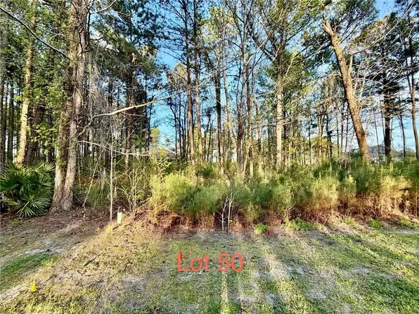 V/l 50 Eagle Crest Dr, Waverly, GA 31565