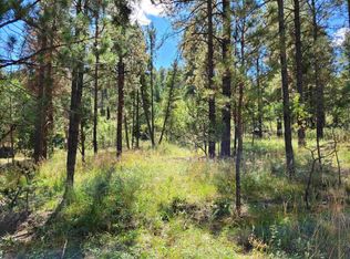 0 Valley Ave, Mayhill, NM 88339