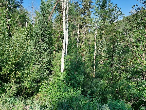 4th image of 819 N Fork Rd