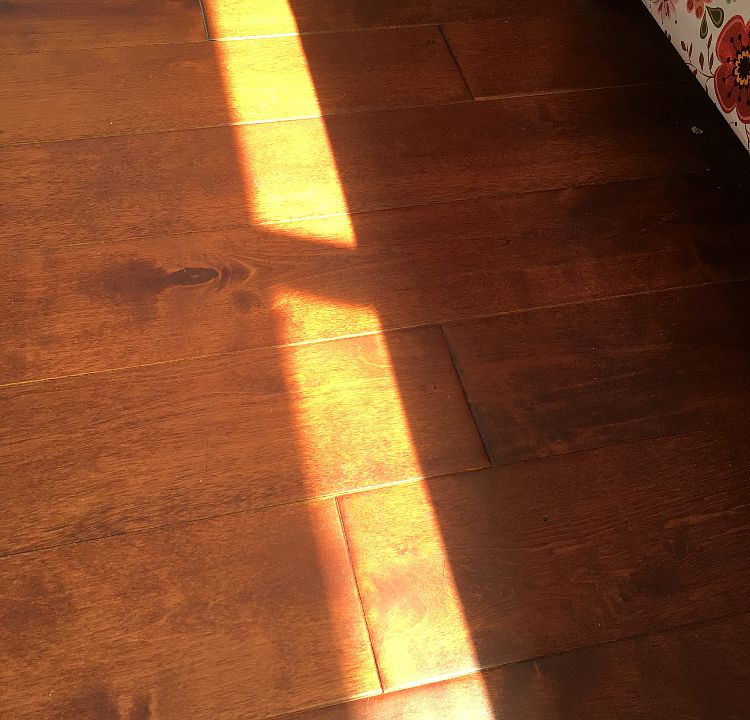 new 4" thick maple hardwood