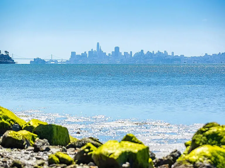 The Cove at Tiburon — Photo 19