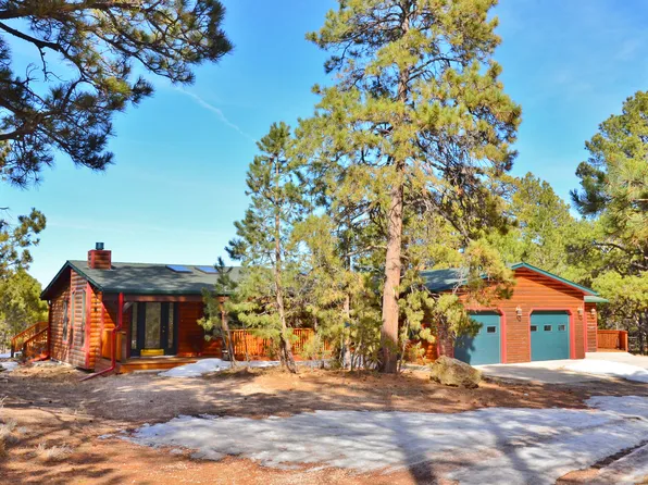 14445 Chalet Ln, Elbert, CO 80106