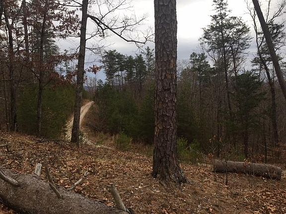3rd image of 297 Cherokee