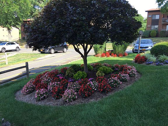 2nd image of 12 Brevoort Dr #2