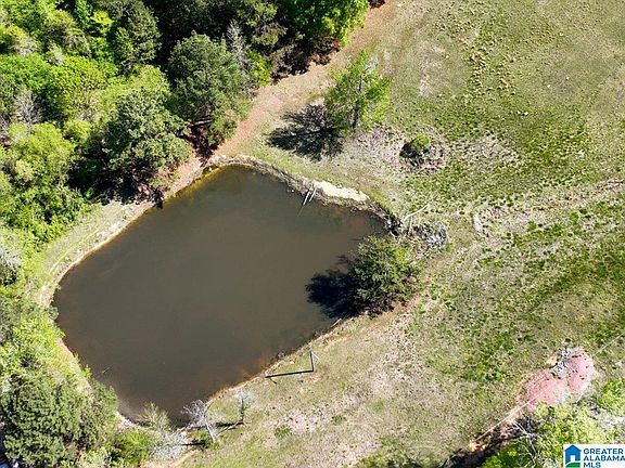 3rd image of Jones Rd #0