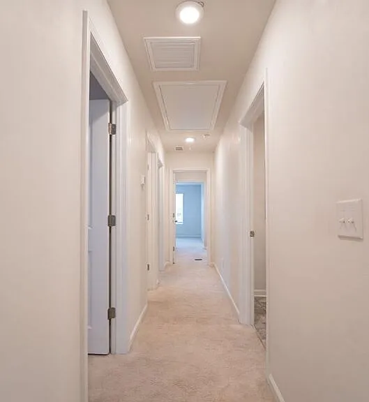 148 Benelli Dr — Photo 18