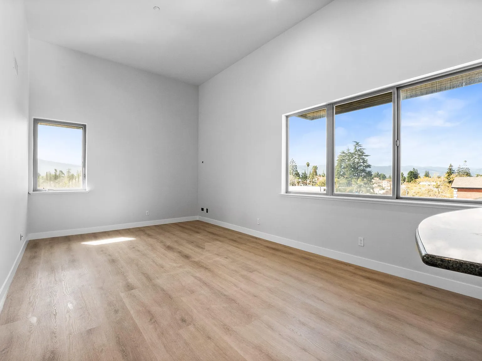 1 bed, 792 sqft, $3,100 — Photo 4
